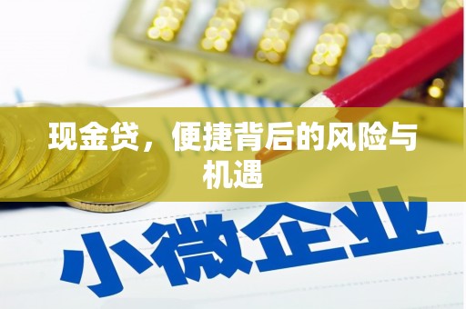 斗六现金贷，便捷背后的风险与机遇