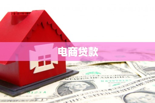 斗六电商贷款