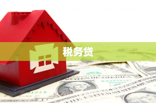 斗六税务贷