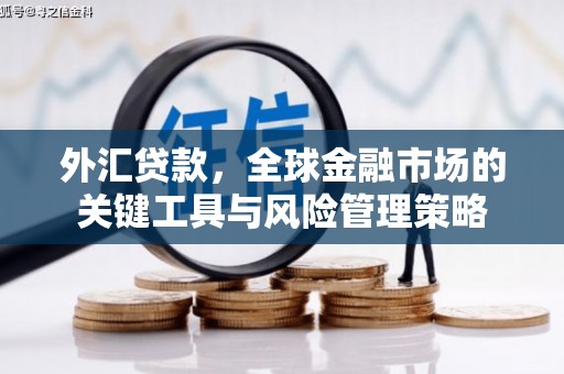 斗六外汇贷款，全球金融市场的关键工具与风险管理策略