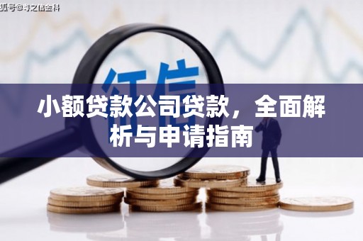 斗六小额贷款公司贷款，全面解析与申请指南