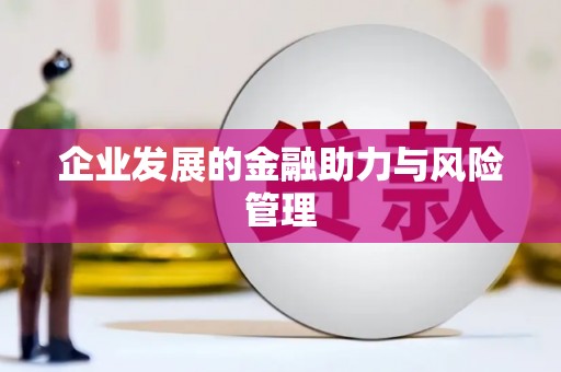 斗六企业发展的金融助力与风险管理