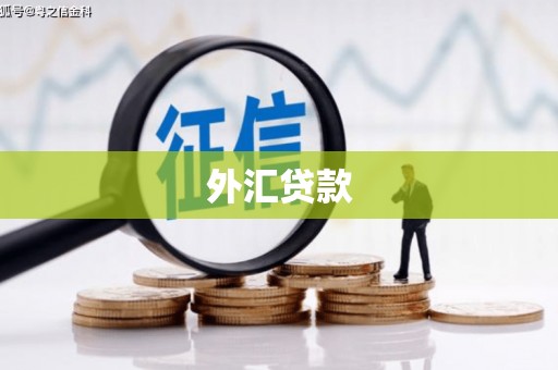 斗六外汇贷款