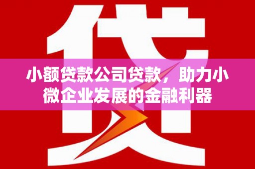 斗六小额贷款公司贷款，助力小微企业发展的金融利器