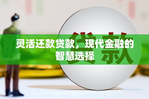 斗六灵活还款贷款，现代金融的智慧选择