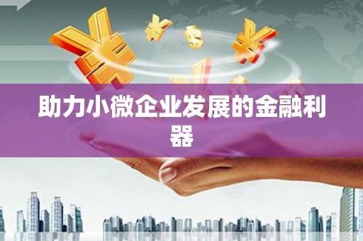斗六助力小微企业发展的金融利器
