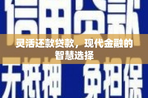 斗六灵活还款贷款，现代金融的智慧选择