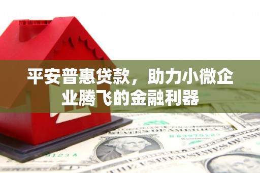斗六平安普惠贷款，助力小微企业腾飞的金融利器