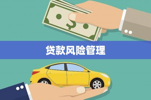 斗六贷款风险管理