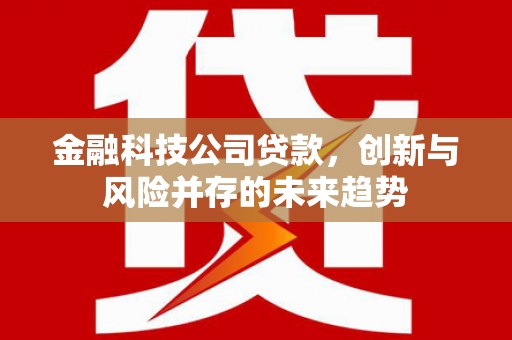 斗六金融科技公司贷款，创新与风险并存的未来趋势