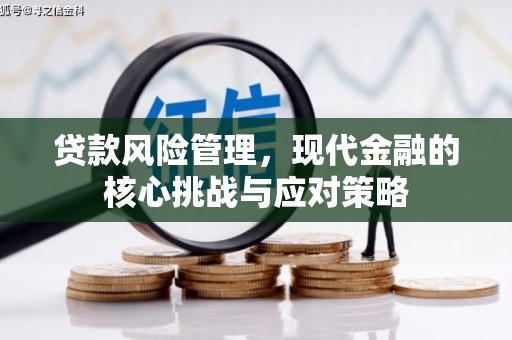 斗六贷款风险管理，现代金融的核心挑战与应对策略