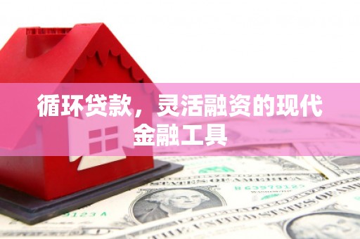 斗六循环贷款，灵活融资的现代金融工具