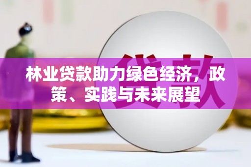 斗六林业贷款助力绿色经济，政策、实践与未来展望