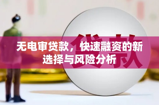 斗六无电审贷款，快速融资的新选择与风险分析