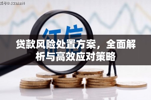 斗六贷款风险处置方案，全面解析与高效应对策略