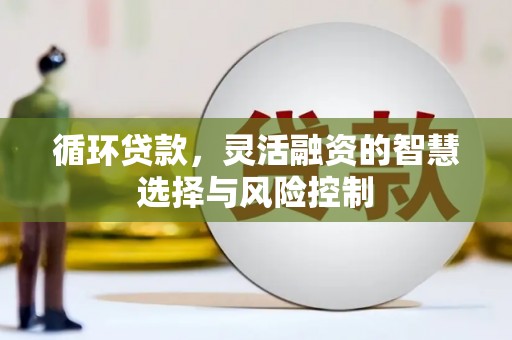 斗六循环贷款，灵活融资的智慧选择与风险控制