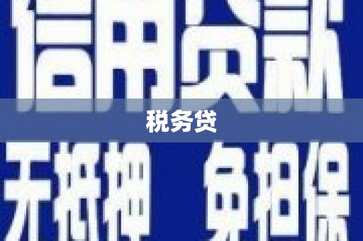 斗六税务贷