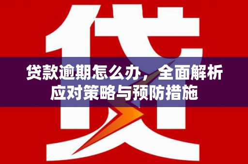 斗六贷款逾期怎么办，全面解析应对策略与预防措施
