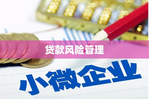 斗六贷款风险管理