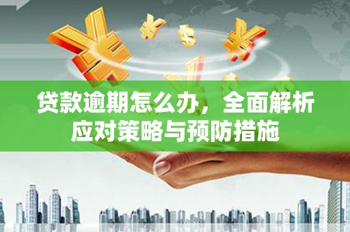 斗六贷款逾期怎么办，全面解析应对策略与预防措施