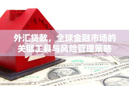 斗六外汇贷款，全球金融市场的关键工具与风险管理策略