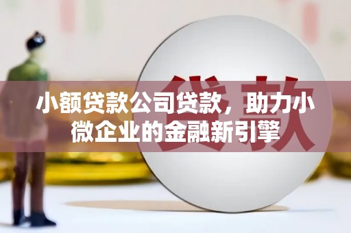 斗六小额贷款公司贷款，助力小微企业的金融新引擎