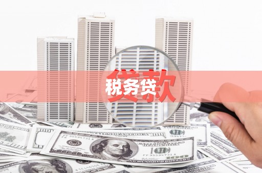 斗六税务贷