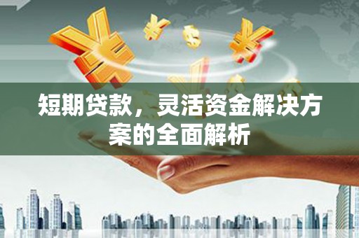 斗六短期贷款，灵活资金解决方案的全面解析