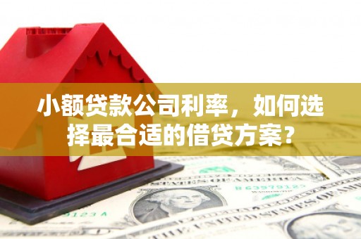 斗六小额贷款公司利率，如何选择最合适的借贷方案？