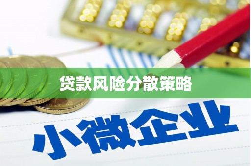 斗六贷款风险分散策略