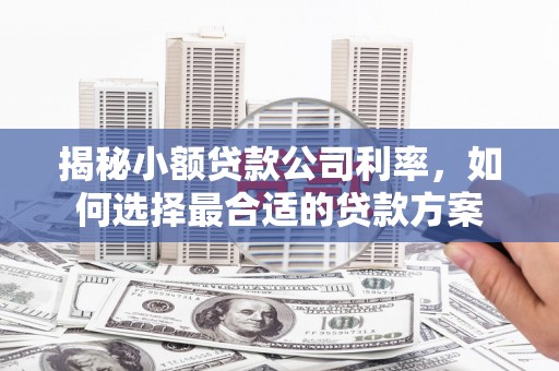 斗六揭秘小额贷款公司利率，如何选择最合适的贷款方案