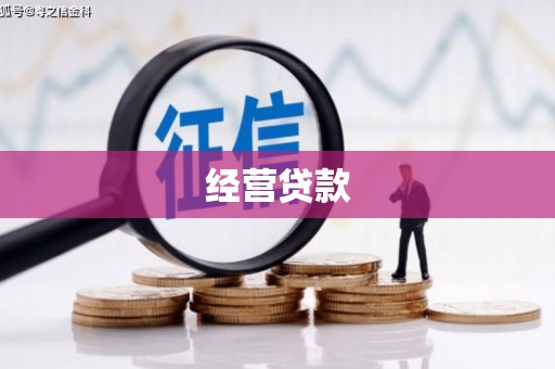 斗六经营贷款