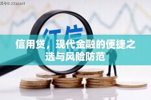 斗六信用贷，现代金融的便捷之选与风险防范
