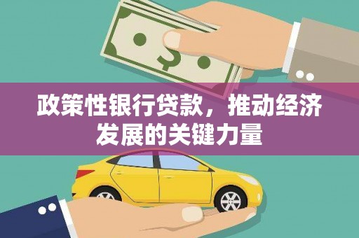 斗六政策性银行贷款，推动经济发展的关键力量