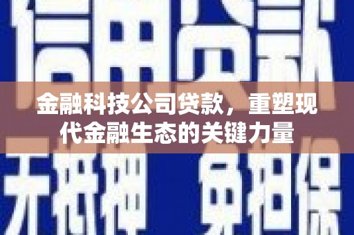 斗六金融科技公司贷款，重塑现代金融生态的关键力量