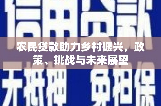 斗六农民贷款助力乡村振兴，政策、挑战与未来展望