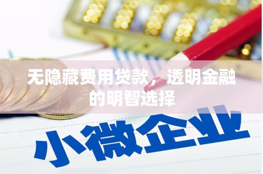 斗六无隐藏费用贷款，透明金融的明智选择