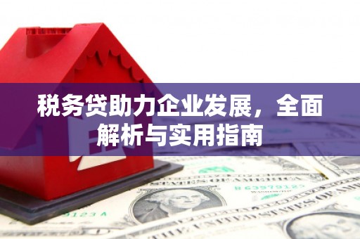 斗六税务贷助力企业发展，全面解析与实用指南
