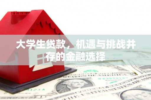 斗六大学生贷款，机遇与挑战并存的金融选择