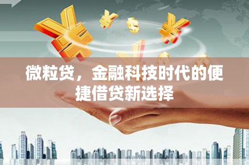 斗六微粒贷，金融科技时代的便捷借贷新选择