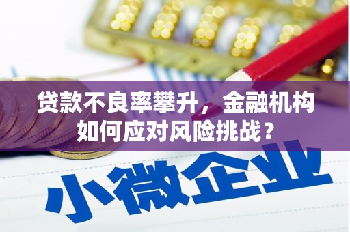 斗六贷款不良率攀升，金融机构如何应对风险挑战？