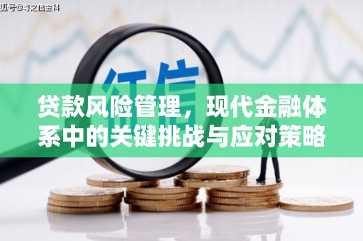 斗六贷款风险管理，现代金融体系中的关键挑战与应对策略