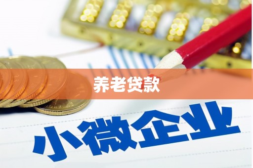 斗六养老贷款