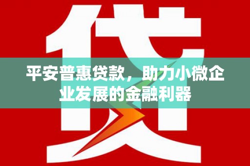 斗六平安普惠贷款，助力小微企业发展的金融利器