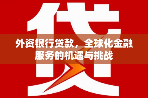 斗六外资银行贷款，全球化金融服务的机遇与挑战