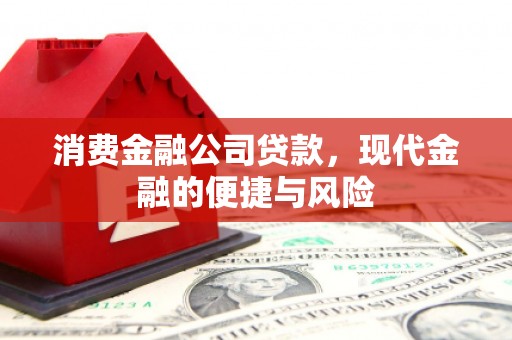 斗六消费金融公司贷款，现代金融的便捷与风险
