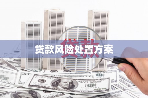 斗六贷款风险处置方案
