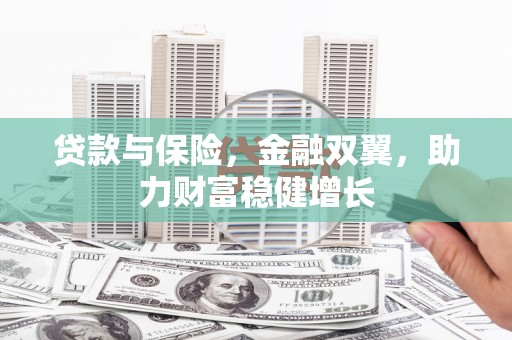 斗六贷款与保险，金融双翼，助力财富稳健增长